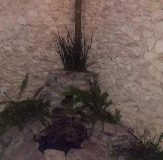 فندق Don Faustino