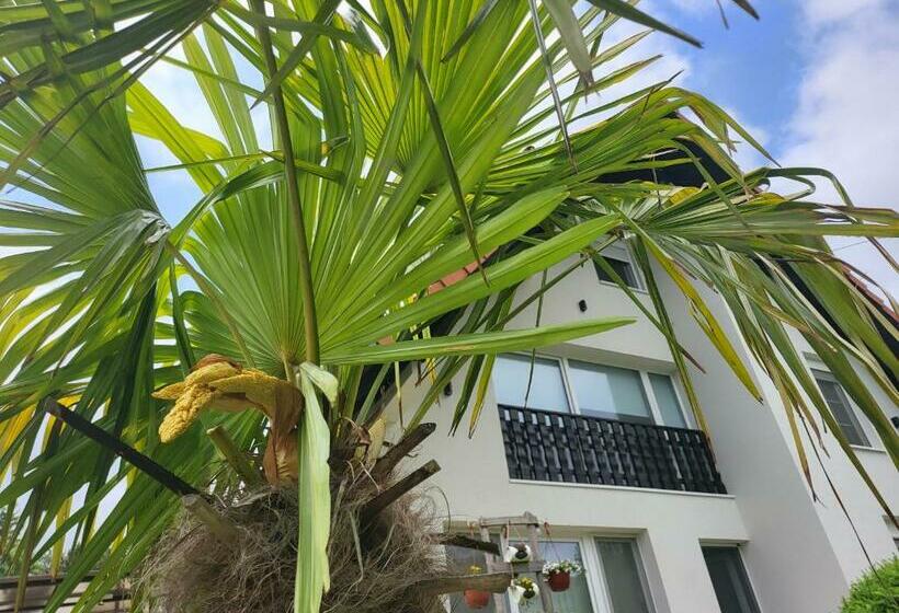 پانسیون Vila Jovana