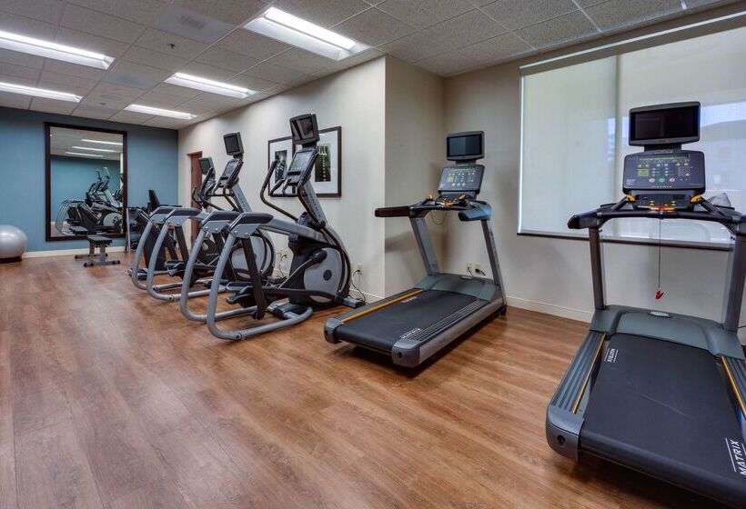 בית מלון כפרי Drury Inn & Suites Gainesville