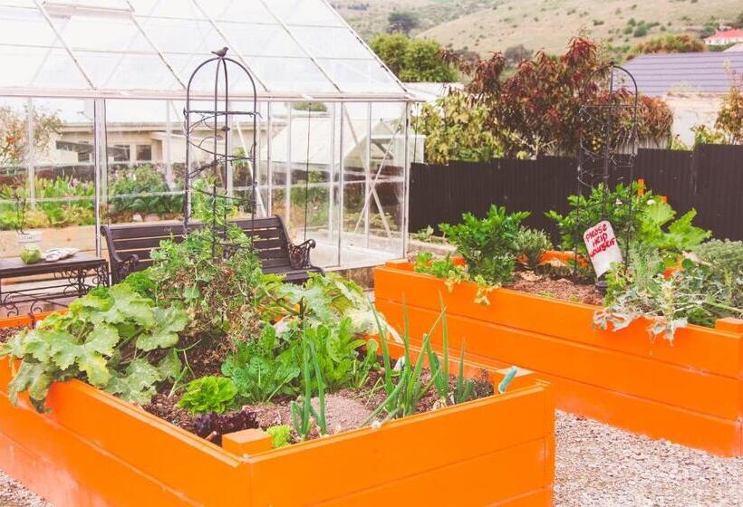 هاستل Oamaru Backpackers