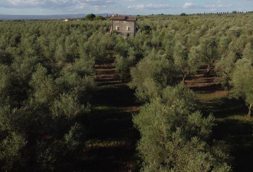 ホテル Agriturismo I Due Casali
