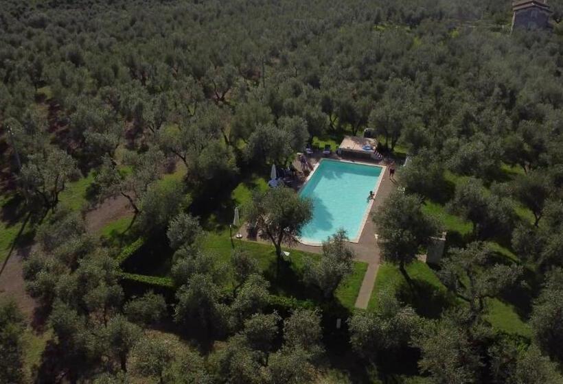 ホテル Agriturismo I Due Casali