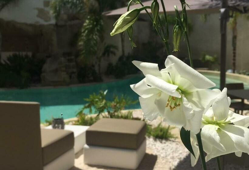 پانسیون Le Cale Camera Privata In Residence