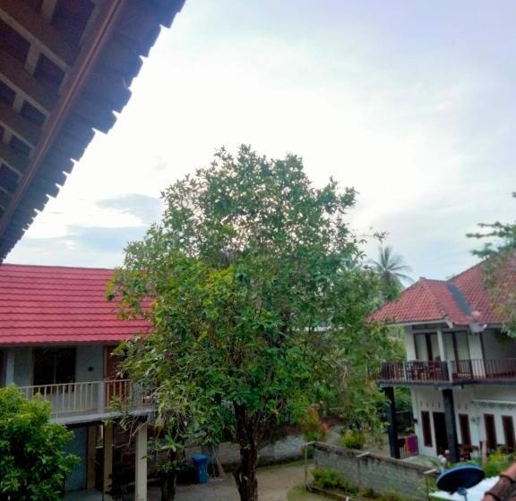 پانسیون Lilypad Guest House