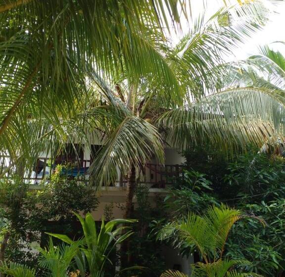 پانسیون Little Sunshine Guest House & Restaurant