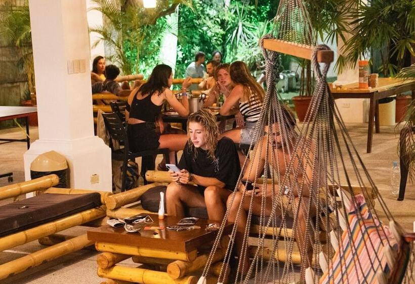 پانسیون Paradise Project Hostal