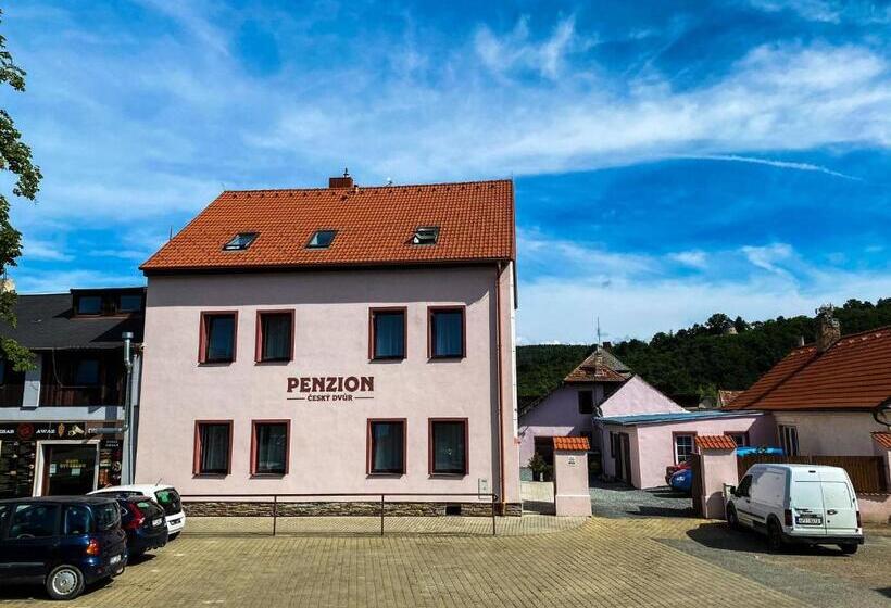ペンション Penzion český Dvůr