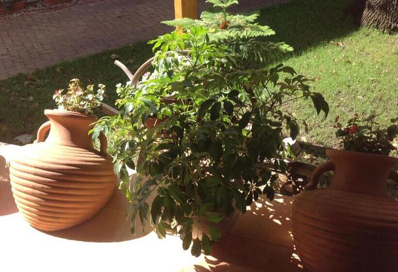 بنسيون öregtölgy Panzio