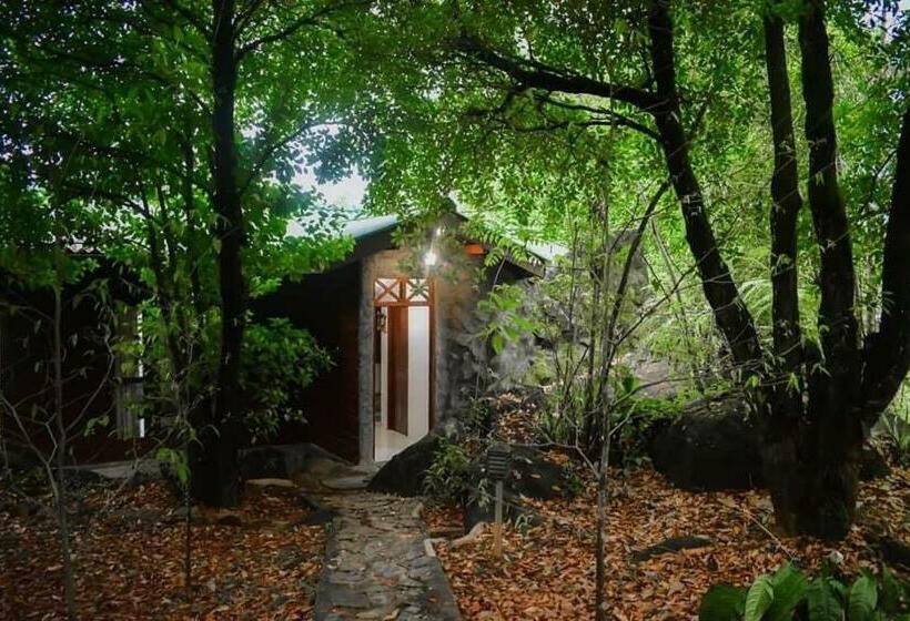 ペンション Sinharaja Rest