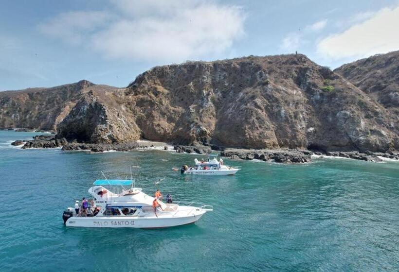 هاستل Whale House