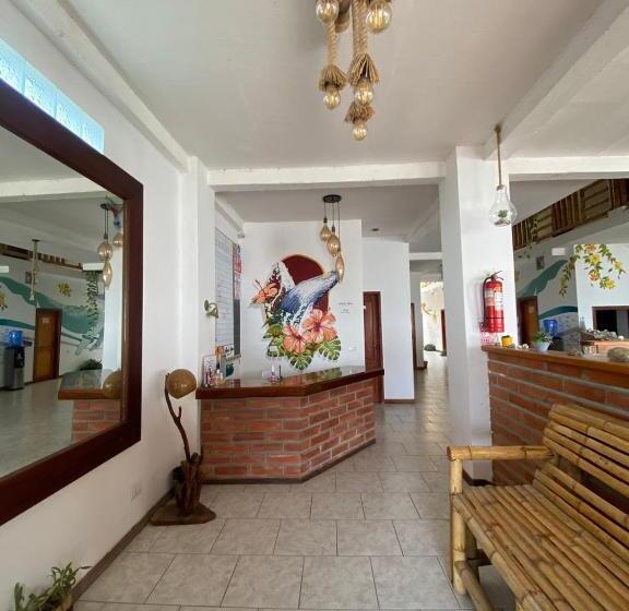 هاستل Whale House