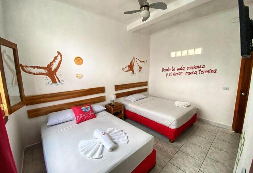 هاستل Whale House