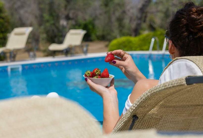 تختخواب و صبحانه Casa Ulmi Con Piscina