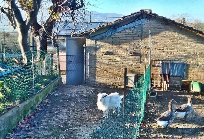 هتل Agriturismo La Rosa Montefalco