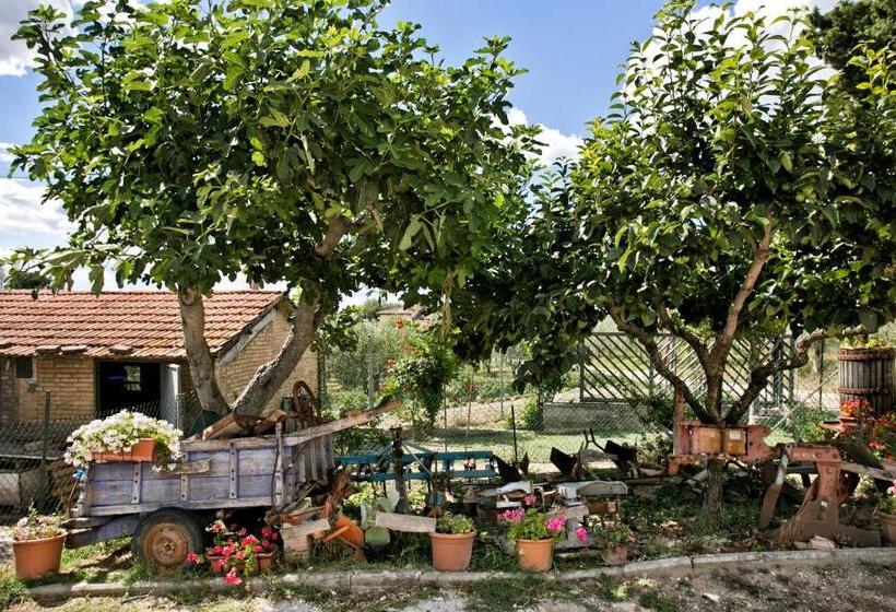 هتل Agriturismo La Rosa Montefalco