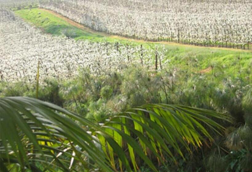 هتل La Terra De Luc