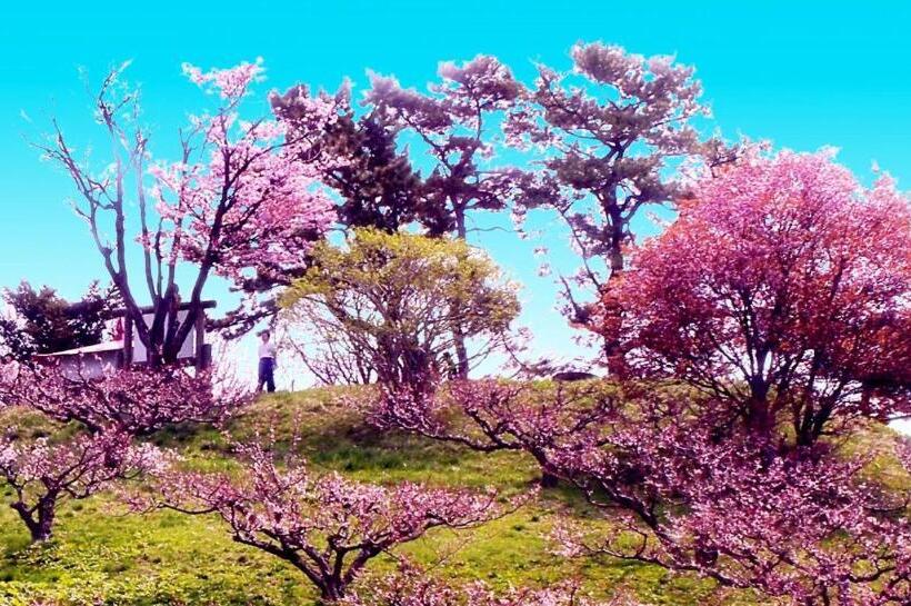 ペンション ホテル中の島別館