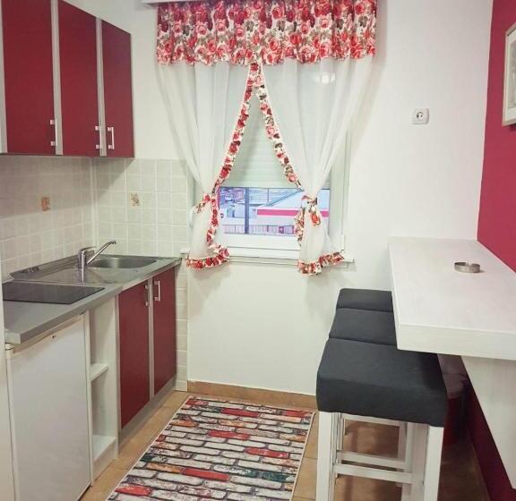 پانسیون Apartmani Banja Spa