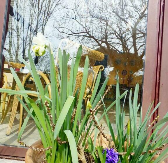 پانسیون B&b Villa Acero
