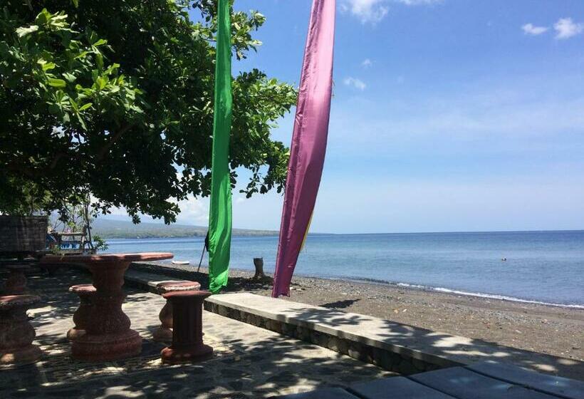 膳宿费 Jukung Bali Bungalow