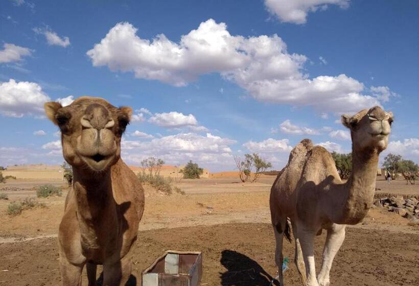 Pension (Hôtel basse catégorie) Kasbah Planet Sahara