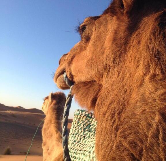 Pension (Hôtel basse catégorie) Kasbah Planet Sahara