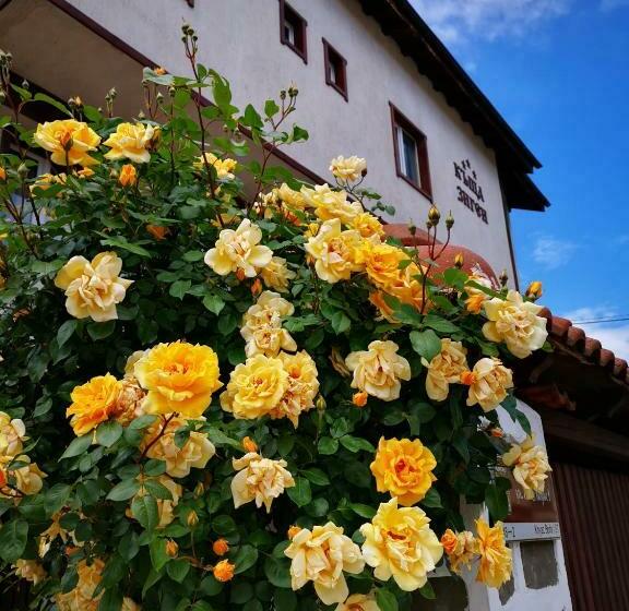 پانسیون Zigen House