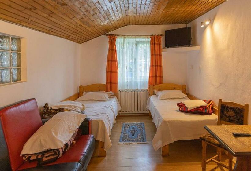 Pensiunea Montan Busteni