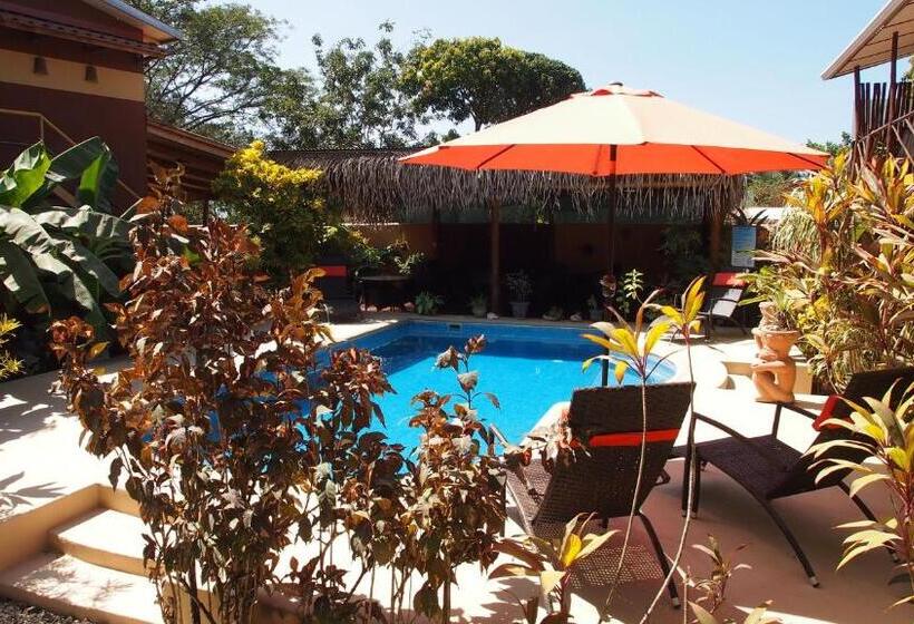 مبيت وإفطار Samara Palm Lodge