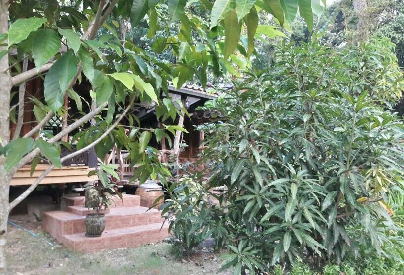 استراحتگاه Koh Kood Little Hut