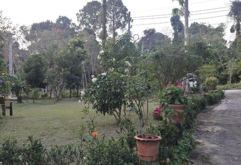 استراحتگاه Koh Kood Little Hut