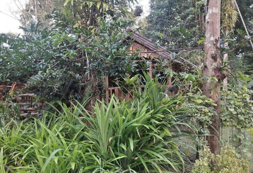 استراحتگاه Koh Kood Little Hut