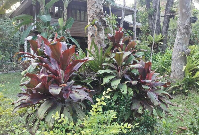 استراحتگاه Koh Kood Little Hut