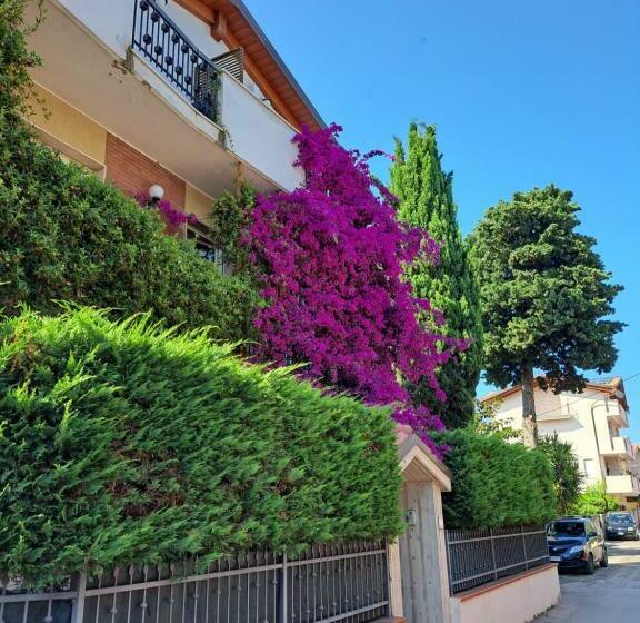 B&b Carlotta