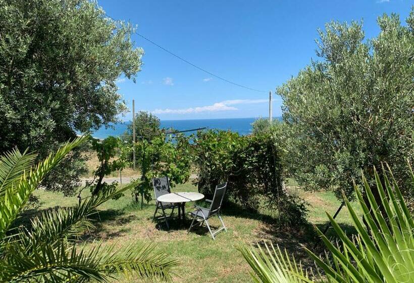 B&b Villa Sveva
