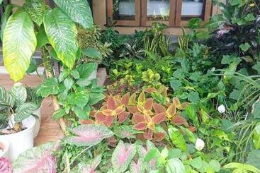 تختخواب و صبحانه Amartya Puri Green Cottages
