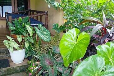 تختخواب و صبحانه Amartya Puri Green Cottages