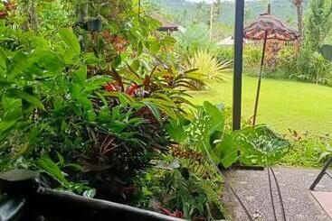 تختخواب و صبحانه Amartya Puri Green Cottages