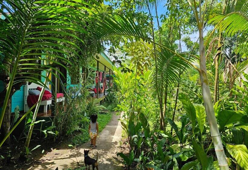 هتل Cabinas Tortuguero