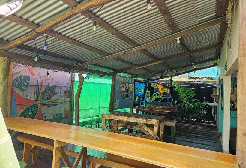 هتل Cabinas Tortuguero