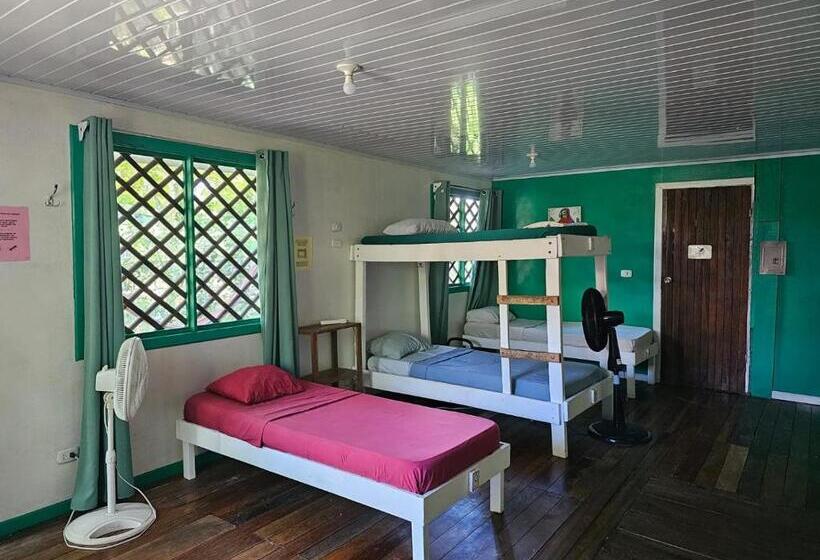 هتل Cabinas Tortuguero
