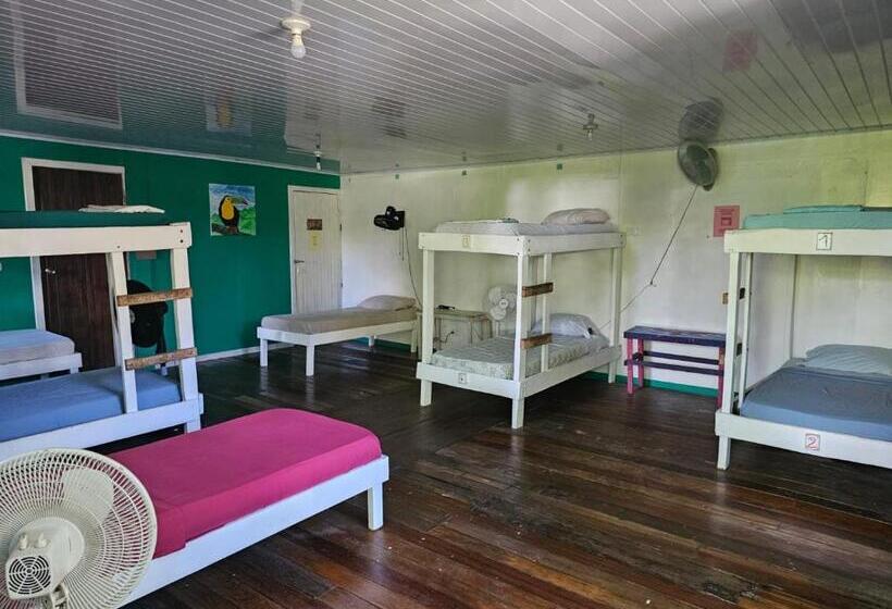 هتل Cabinas Tortuguero