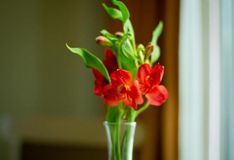 Fotos del hotel Parque Central:  27