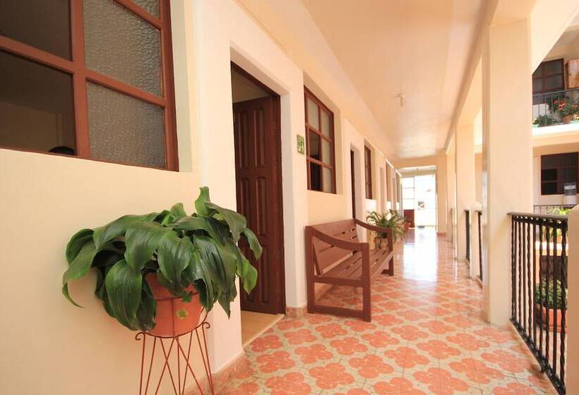 Fotos del hotel San Martin:  20