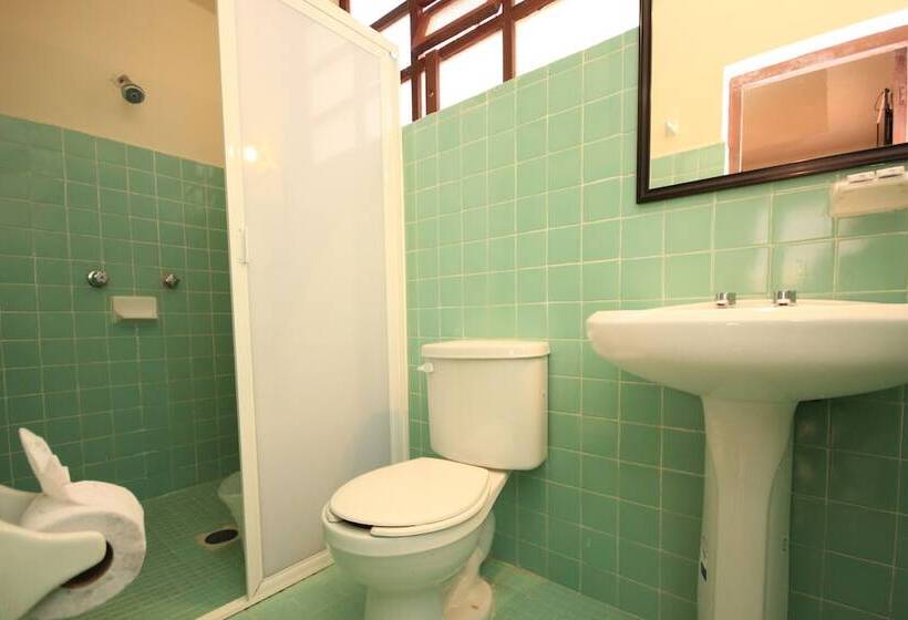 Fotos del hotel San Martin:  28