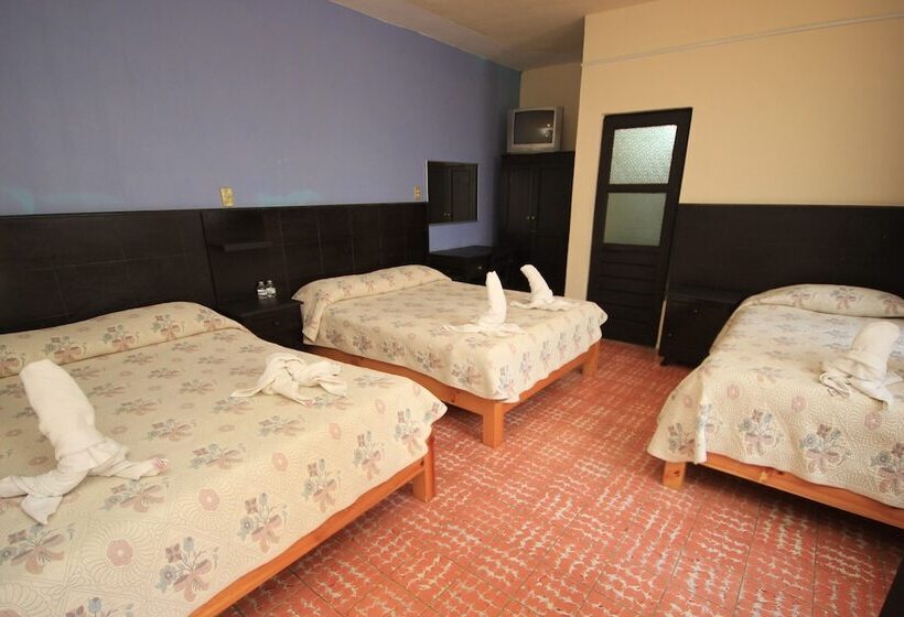 Fotos del hotel San Martin:  29