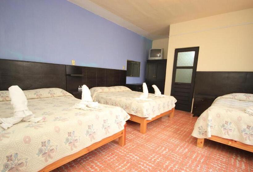 Fotos del hotel San Martin:  5