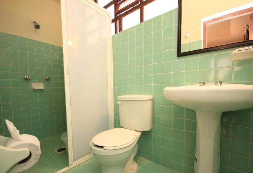 Fotos del hotel San Martin:  7
