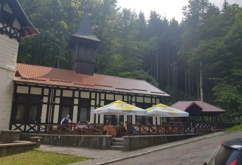 هتل Stavilar