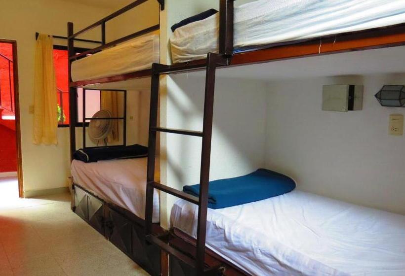 La Catrina Hostel